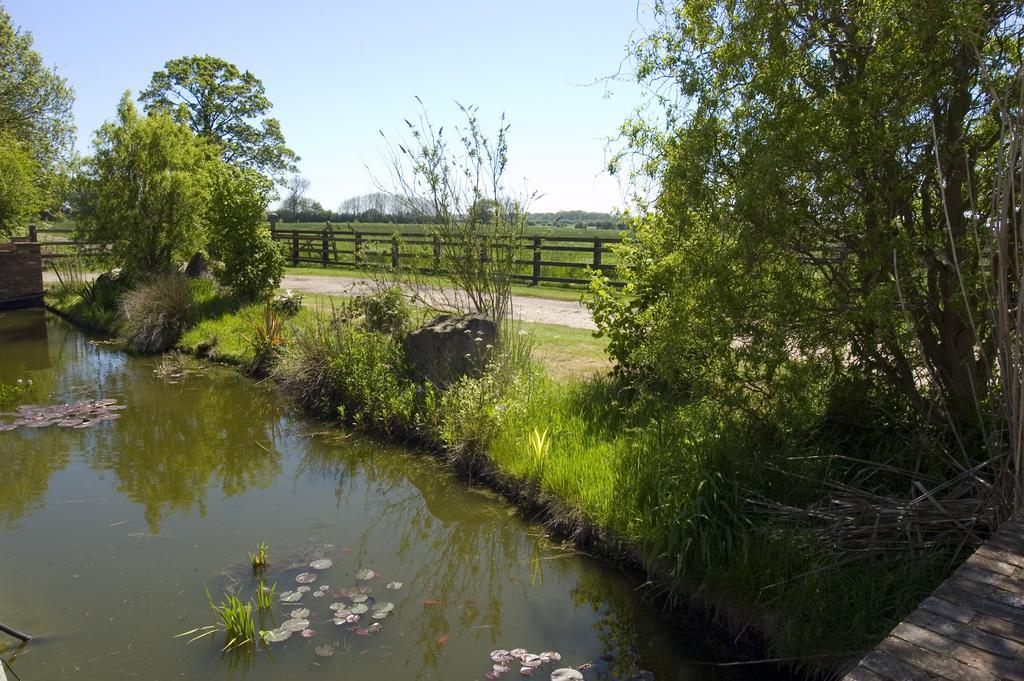 Jockhedge Skegness